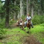 back-country-horsemen-washington-state-equitrekkingcom