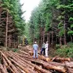 south-fork-nooksack-forest-management
